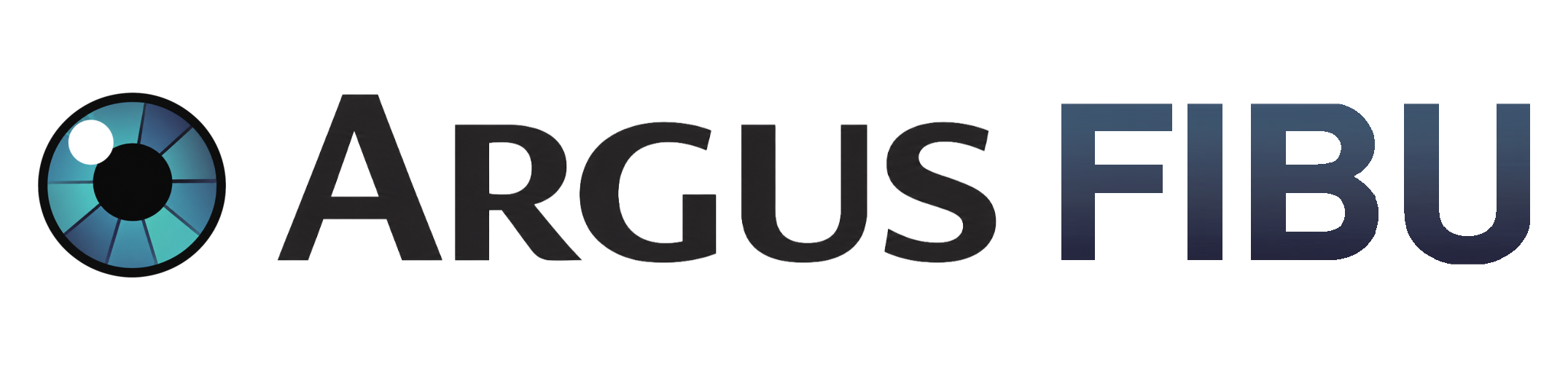 ARGUS FIBU